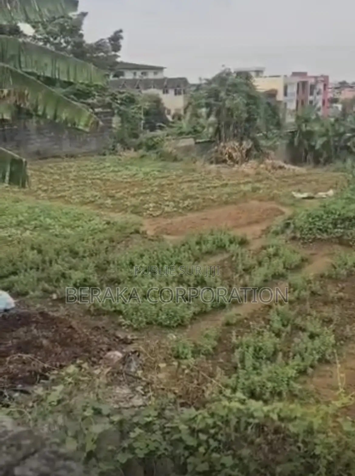 Marché Direct Avec Le Propriétaire Cocody