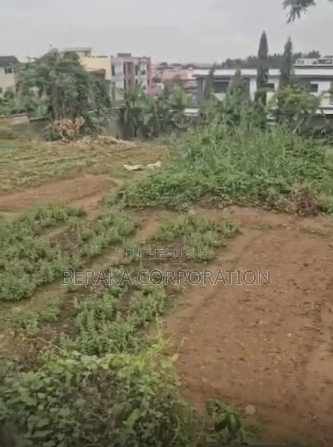 Marché Direct Avec Le Propriétaire Cocody