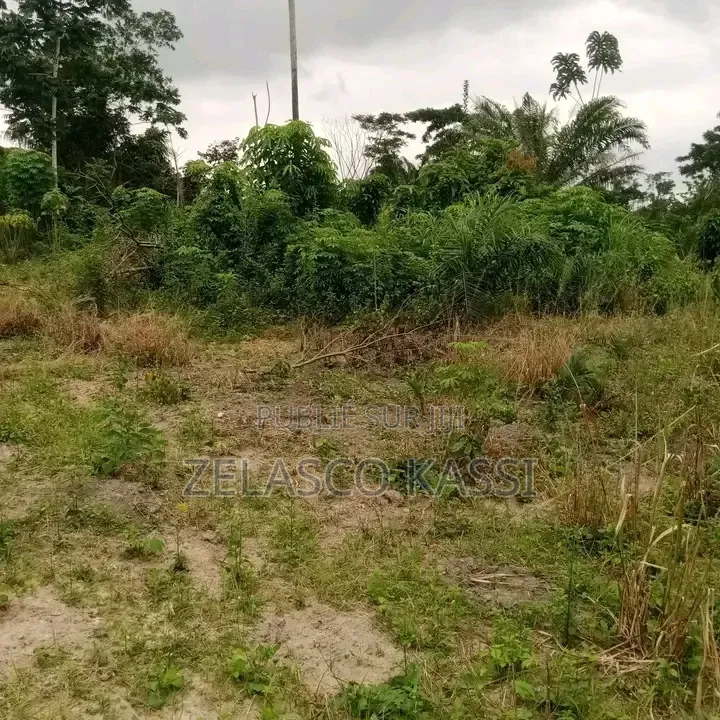Terrain À Crédit