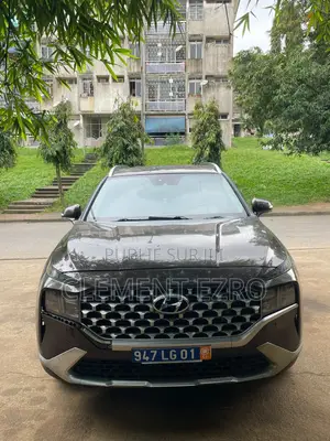 Hyundai Santa Fe 2022 Noir