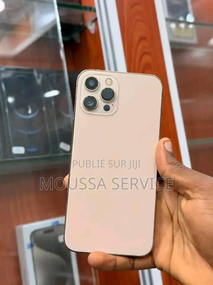 Nouveau Apple iPhone 12 Pro 256 GB Gris