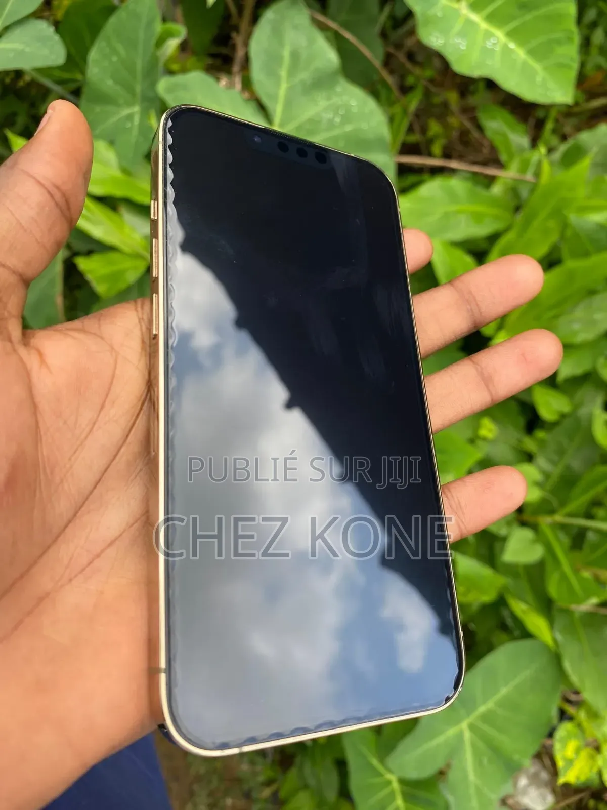 Nouveau Apple iPhone 13 Pro 256 GB Autre