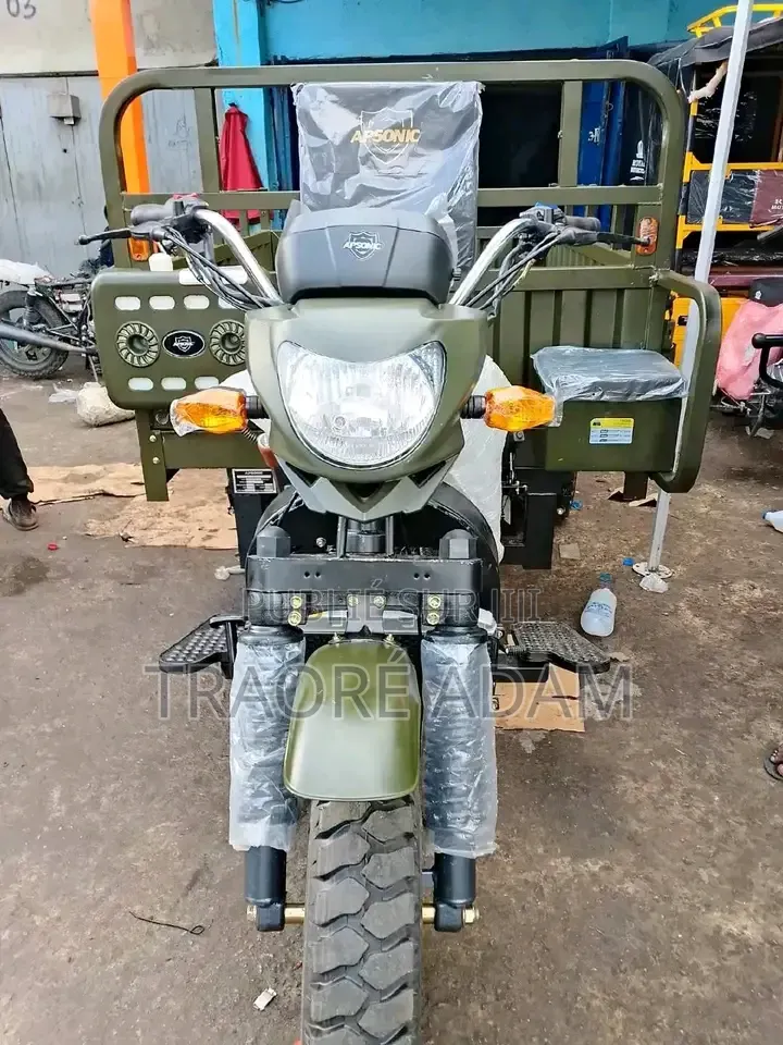 Nouveau Apsonic AP150ZH-200 2025 Autre