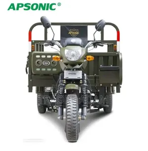 Nouveau Apsonic AP150ZH-175 2024 Autre