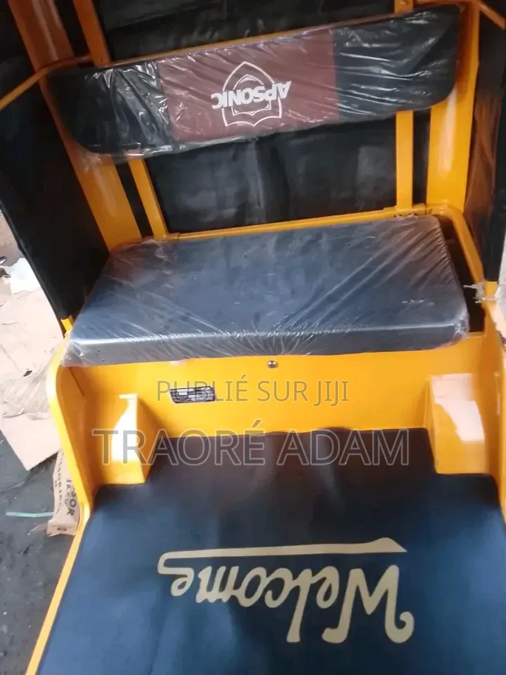 Nouveau Apsonic AP150ZK 2025 Autre