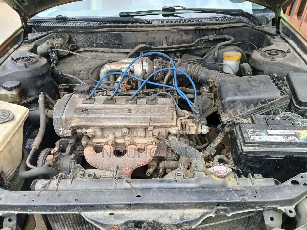 Toyota Corolla 2002 Vert