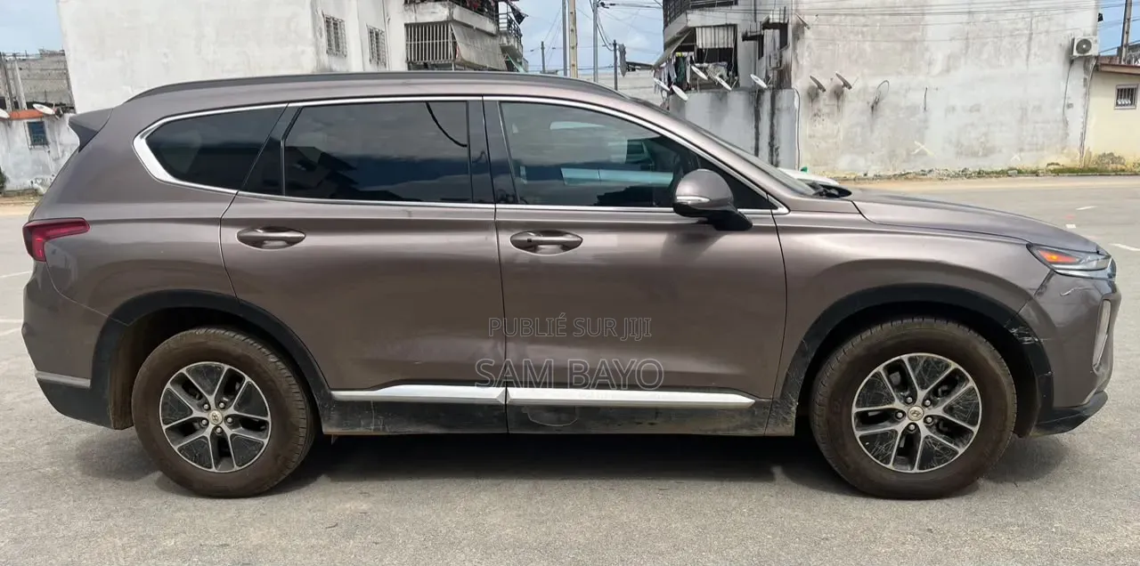 Hyundai Santa Fe 2020 Marron