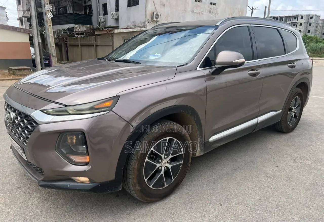 Hyundai Santa Fe 2020 Marron