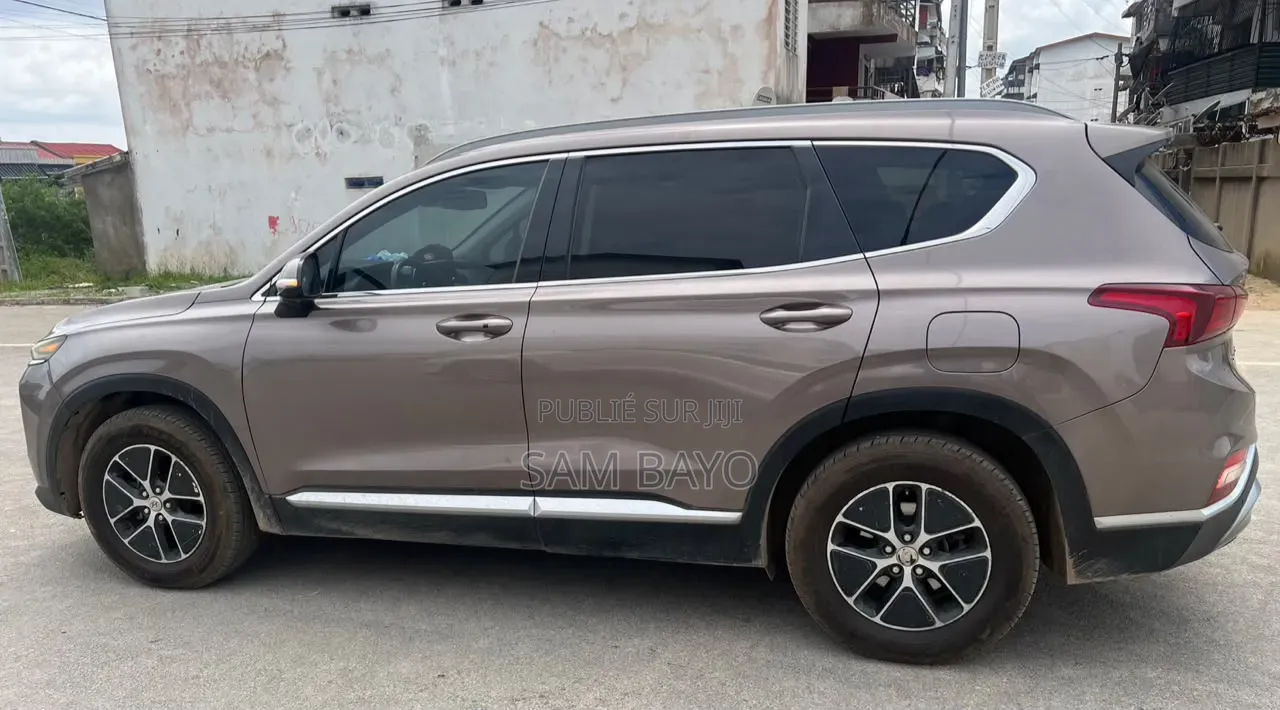 Hyundai Santa Fe 2020 Marron