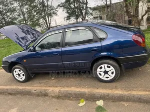 Toyota Corolla 2002 Bleu