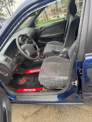Toyota Corolla 2002 Bleu