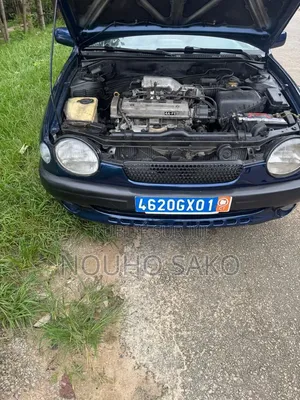 Toyota Corolla 2002 Bleu