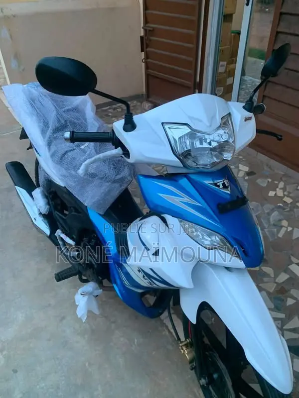 Nouveau TVS Rockz 125 2024 Bleu