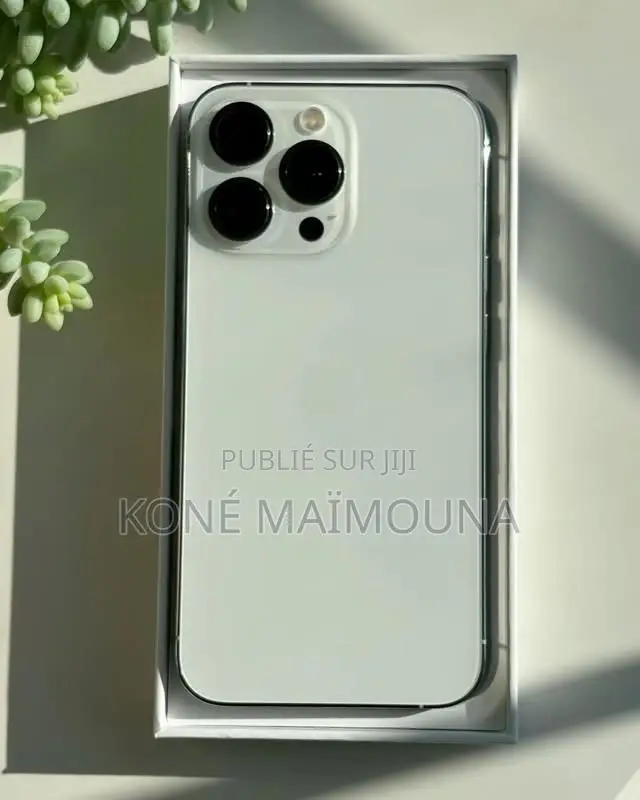 Nouveau Apple iPhone 13 Pro 512 GB Autre