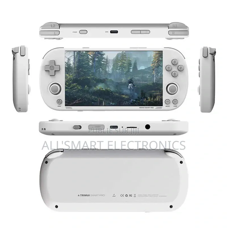 Console De Jeux Vidéo Portable Trimui Smart Pro