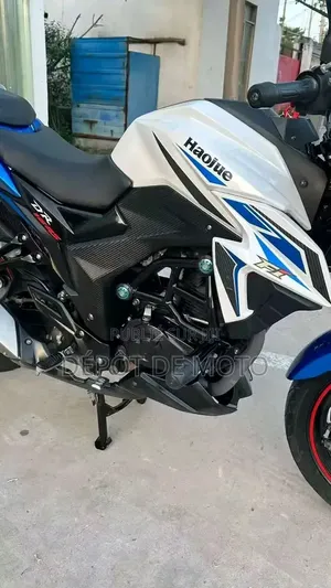 Nouveau Haojue DR160S 2025 Blanc