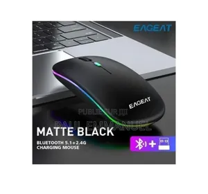 Souris Sans Fil Bluetooth 5.1 + 2.4G RGB Rechargeable Noir Mat
