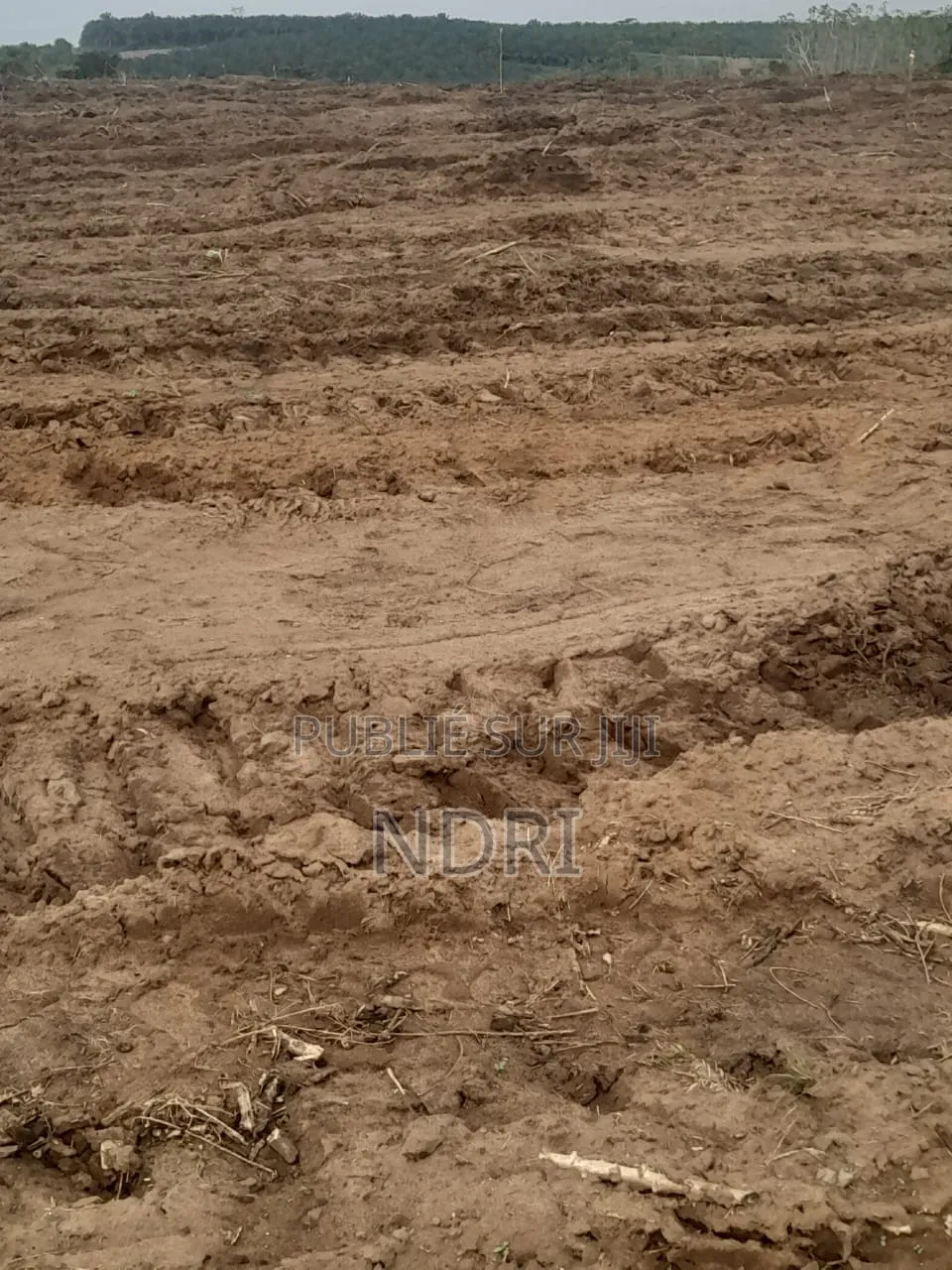 Vente De Terrain De 400m2 Autoroute Y4