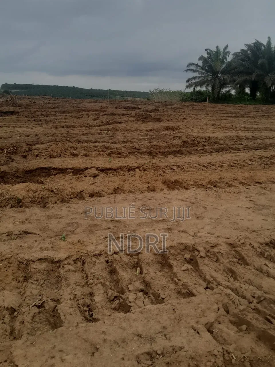 Vente De Terrain De 400m2 Autoroute Y4
