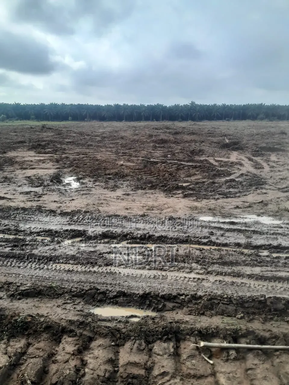 Vente De Terrain De 400m2 Autoroute Y4