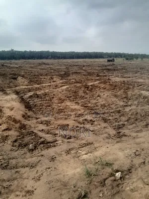 Vente De Terrain De 400m2 Autoroute Y4