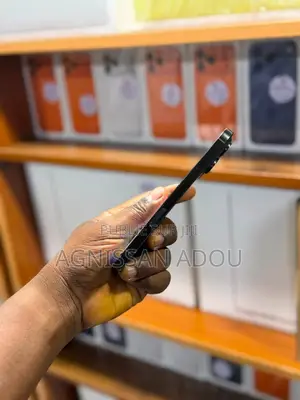 Nouveau Apple iPhone 16 Pro Max 256 GB Noir