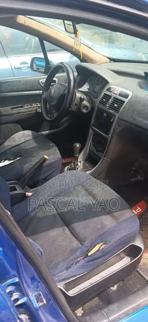 Peugeot 307 2002 Bleu