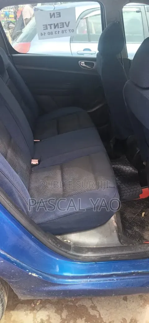 Peugeot 307 2002 Bleu
