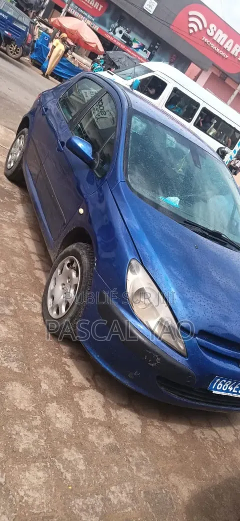Peugeot 307 2002 Bleu