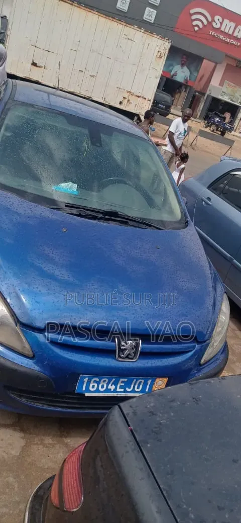 Peugeot 307 2002 Bleu