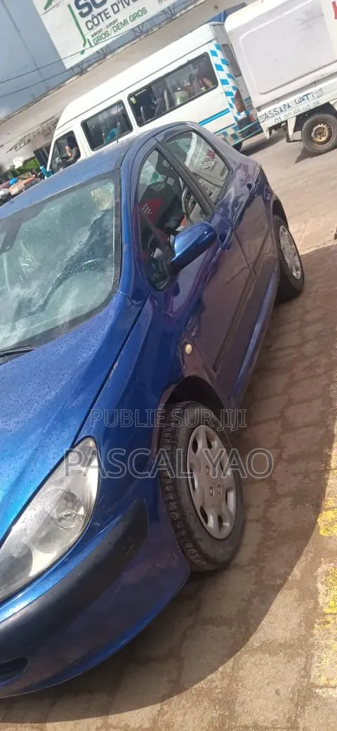 Peugeot 307 2002 Bleu
