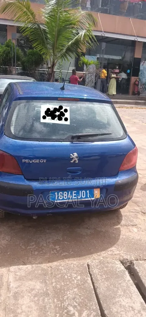 Peugeot 307 2002 Bleu