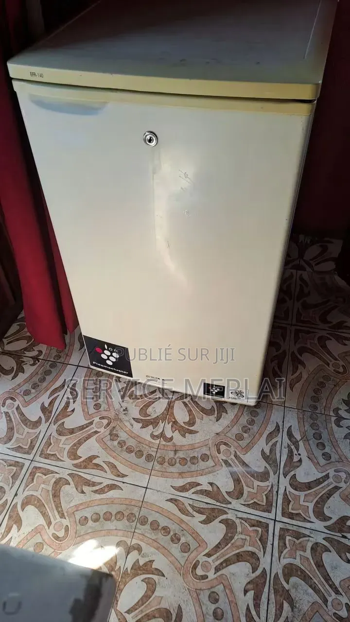 Mini Congélateur