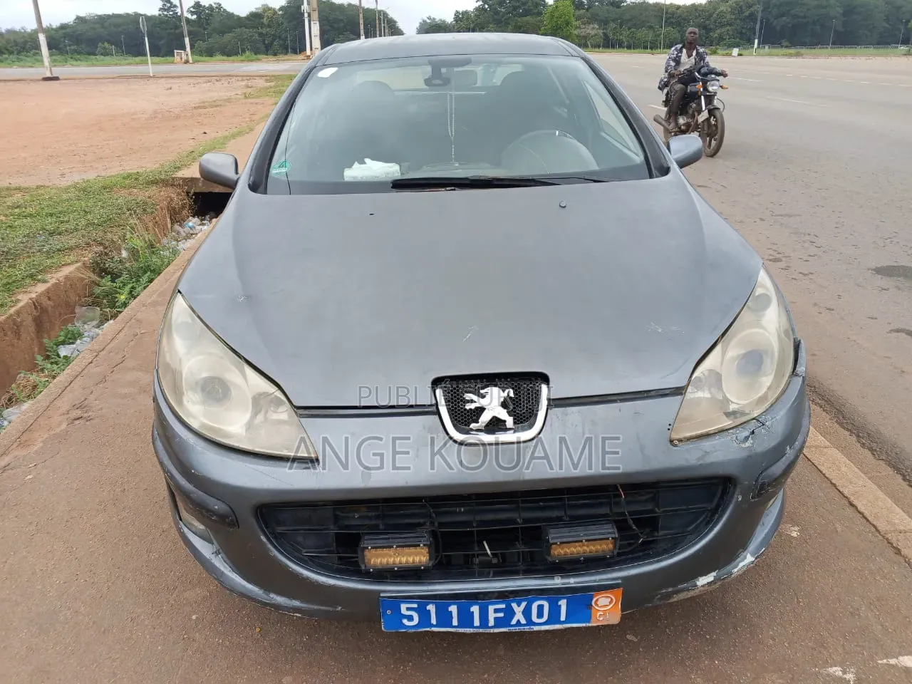 Peugeot 407 2004 Gris