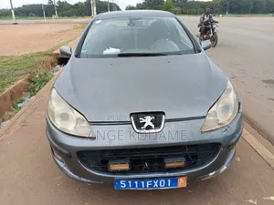 Peugeot 407 2004 Gris