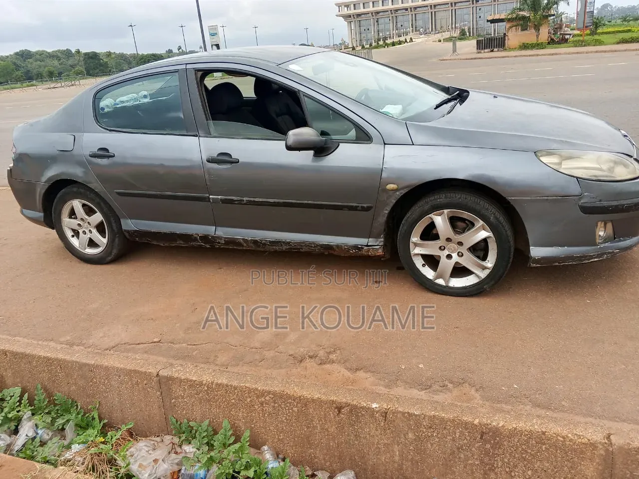 Peugeot 407 2004 Gris