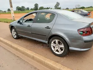 Peugeot 407 2004 Gris