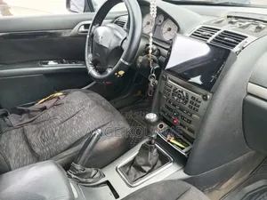 Peugeot 407 2004 Gris