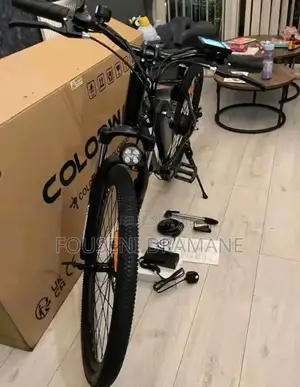 Vélo Électriques