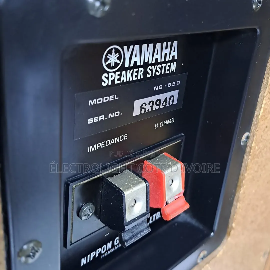 Appareil Musique Yamaha NS-650