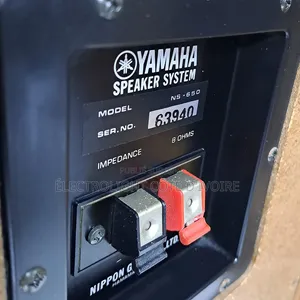 Appareil Musique Yamaha NS-650