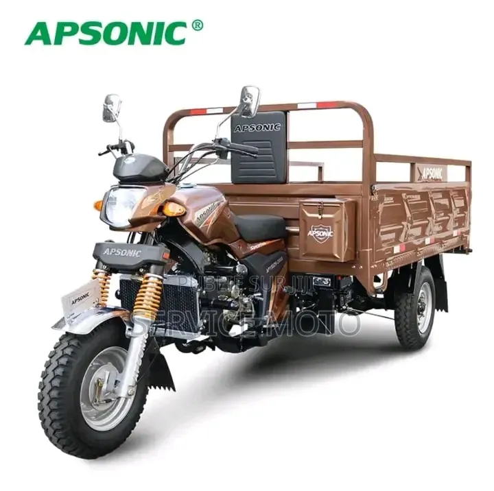Nouveau Apsonic AP150ZH-200 2023 Autre