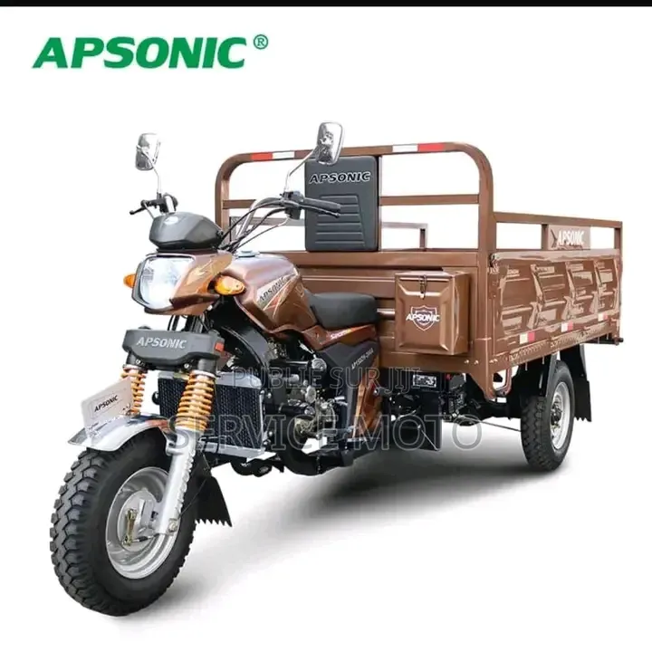 Nouveau Apsonic AP150ZH-200 2023 Autre
