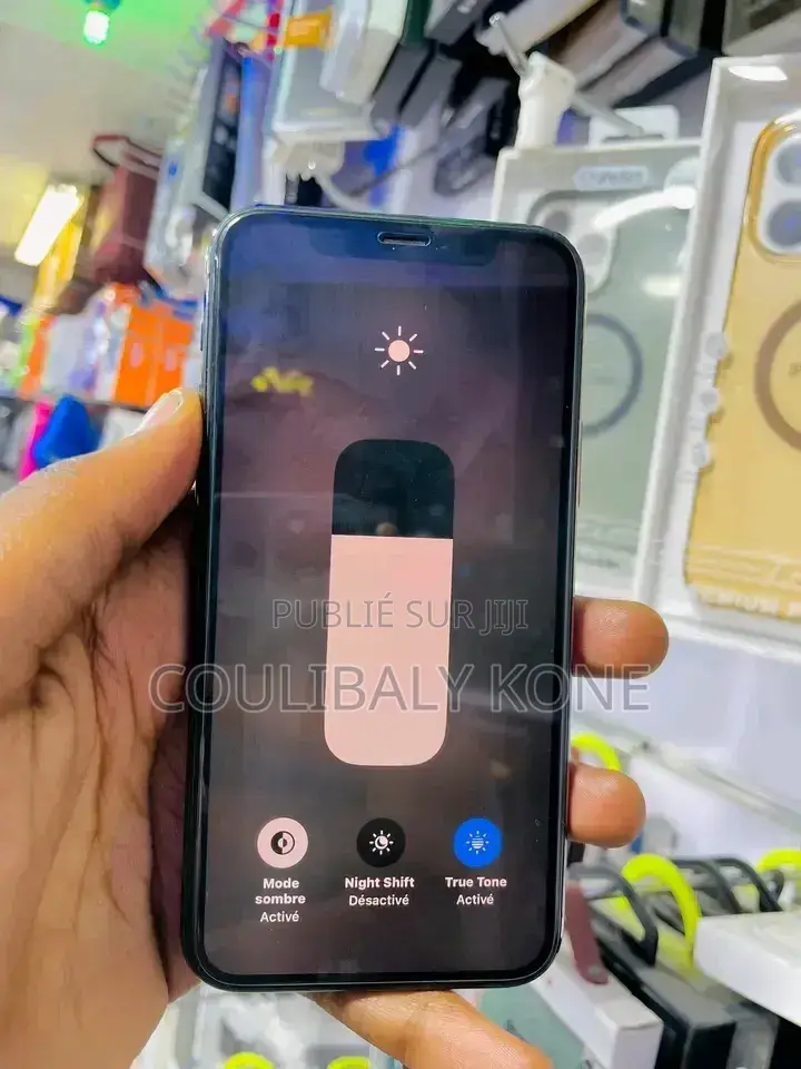 Nouveau Apple iPhone 11 Pro 512 GB Autre