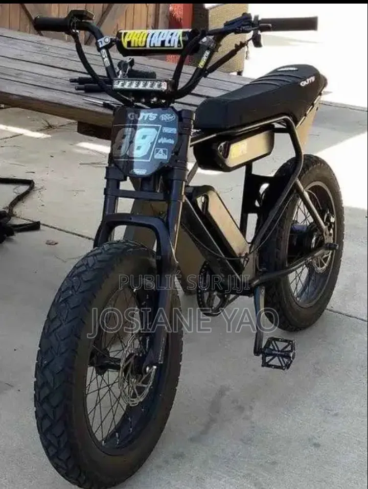 Vélo Électrique
