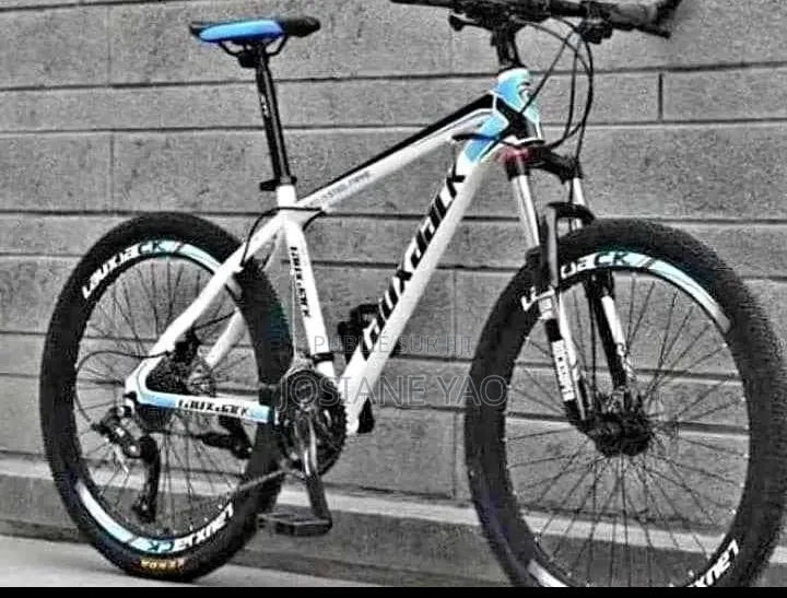 Vélo Électrique