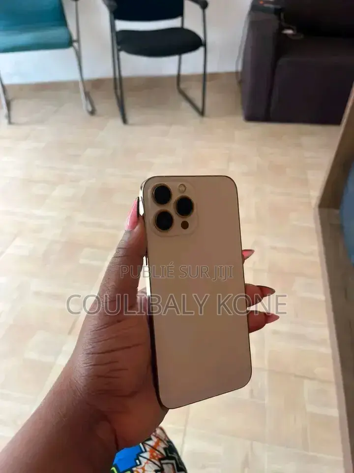 Nouveau Apple iPhone 13 Pro Max 256 GB Autre