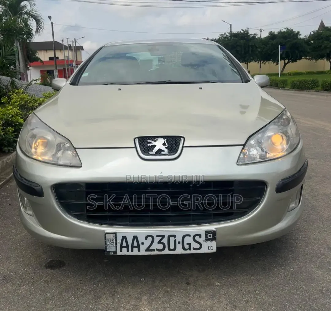 Peugeot 407 2000 Gris