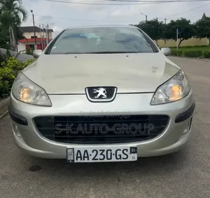Peugeot 407 2000 Gris