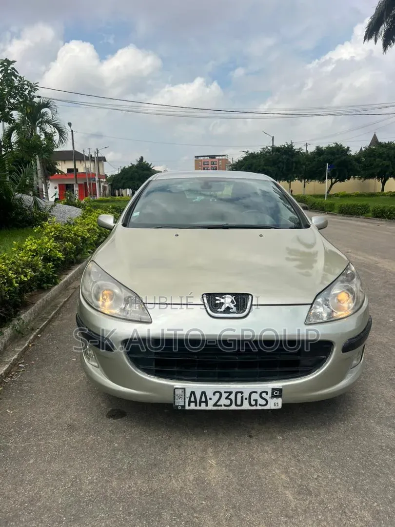 Peugeot 407 2000 Gris